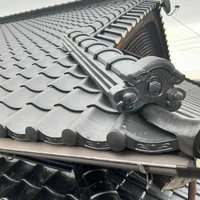 画像250